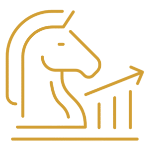 Fractional Marketing Leadership